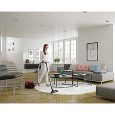 Пилосос з мішком Electrolux EPF6ANIMAL, фото 3