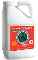 Протравитель семян Рекорд Квадро 5 л, Ukravit (Укравит), Украина