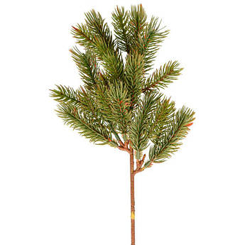 Гілка сосни декоративна Exner
