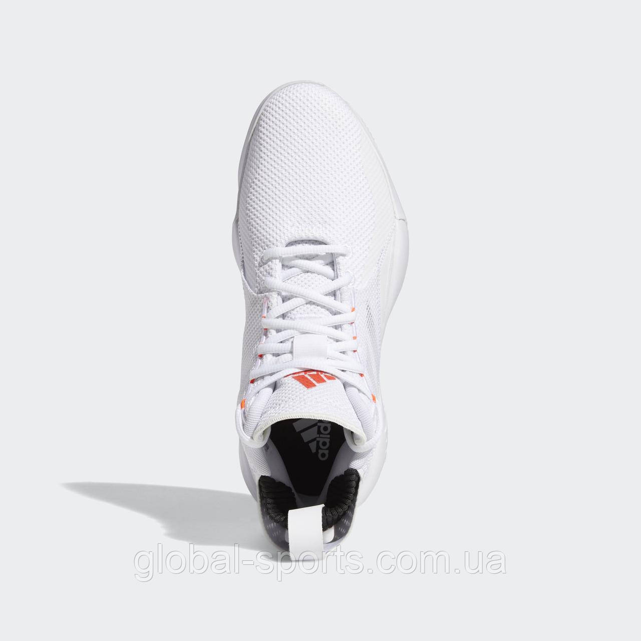 D rose cheap 773 5
