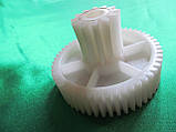 Шестірня Moulinex D = 65/25 мм.  (для м'ясорубки та кухонного комбайна Мулінекс), фото 4