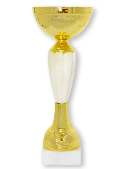 Кубок K1 494