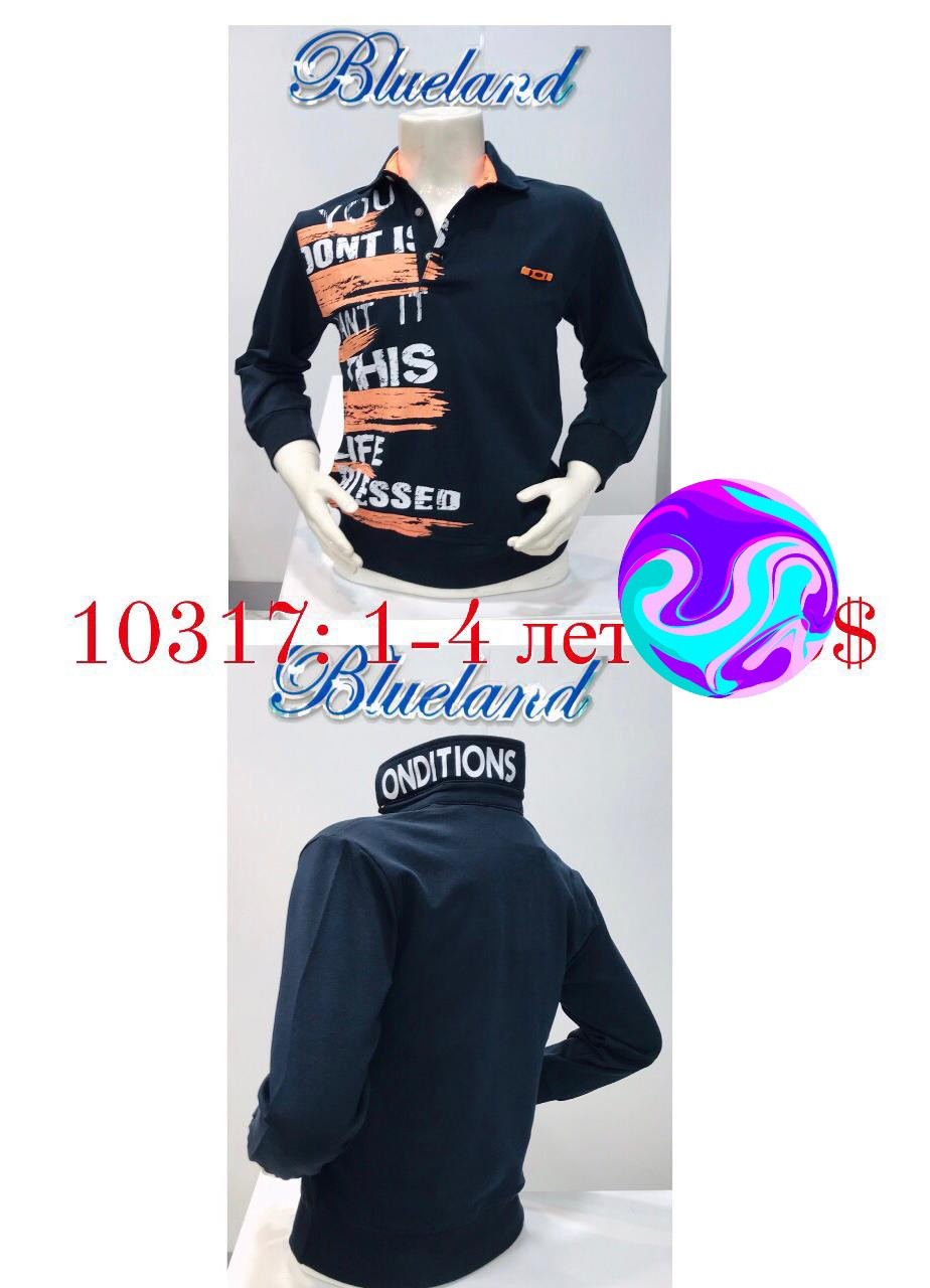 Трикотажний реглан на маленького хлопчика 86 зросту Blueland, фото 1