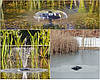 OASE IceFree 4 Seasons антиобморожувач для ставка, водойми, озера, фото 5