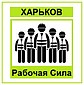 Рабочая Сила