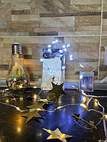 LED-гірлянда мікролед "Полярна зірка" Світлодіодна гірлянда на батарейках. Виробництво Франція.