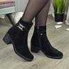 Напівчеревики жіночі замшеві чорні на невисокому каблуці, фото 2