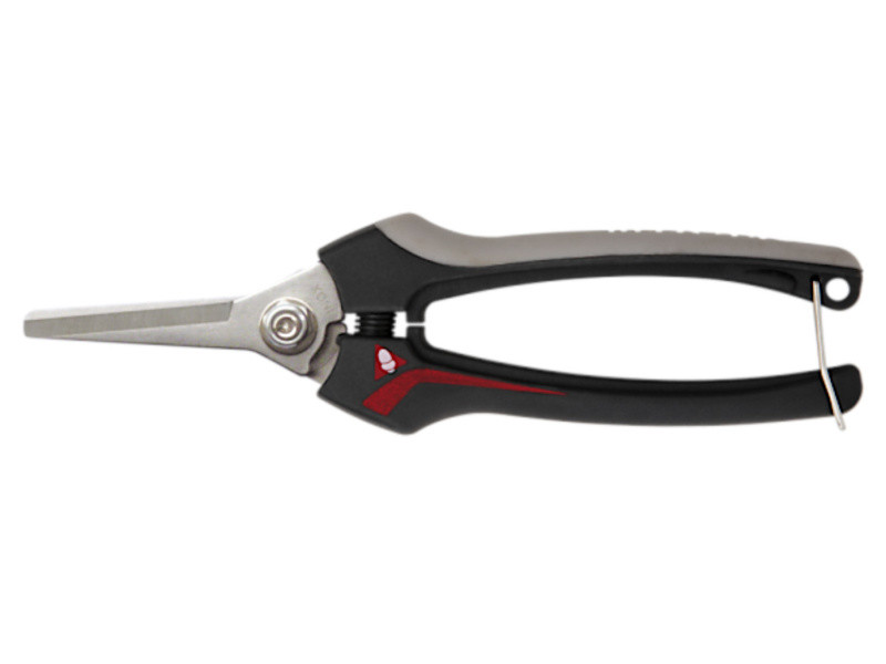 Секатор для збору винограду Bellota 3621 INOXCEMB.B - Беллота 3621 INOXCEMB.B