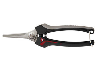 Секатор для збору винограду Bellota 3621 INOXCEMB.B - Беллота 3621 INOXCEMB.B