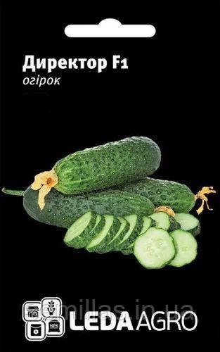 Насіння огірка Директор F1, 50 шт., самоопыляемого, ТМ "ЛедаАгро"