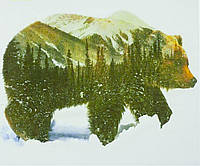 Картина по номерам "Медведь" 40*50 см, краски - акрил