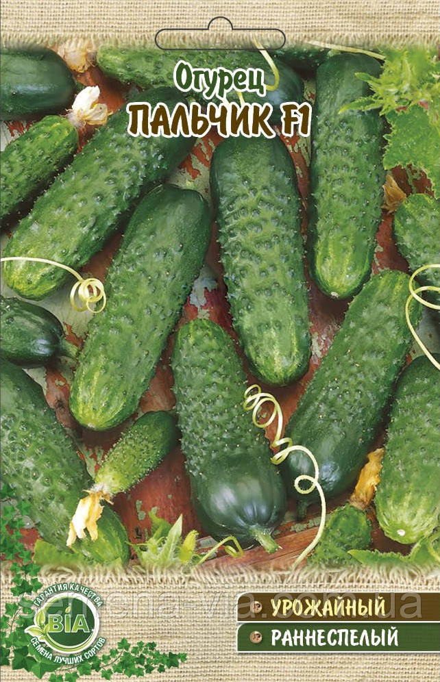 Огірок Пальчик F1 (5 г) (в упаковці 10 шт.)