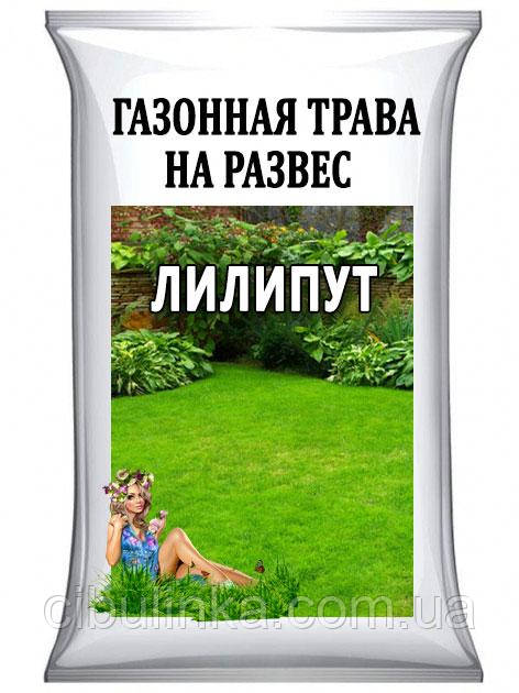 Насіння Трави Газонне Ліліпут Україна на розвус від 1 кг