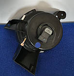 Протитуманні фари Ford Fiesta 2006 — 2008, фото 2