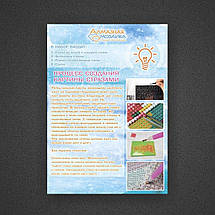 DM-361 Набор алмазной мозаики Романтична зустріч, фото 2