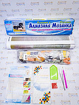 DMP-256 Набір алмазної живопису на підрамнику Дощова осінь, фото 4