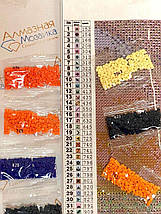 DM-351 Набор алмазной мозаики У підніжжя гір, фото 4