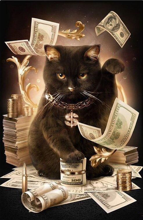 DMP-347 Набір діамантової мозаїки на підрамнику Грошовитий кіт