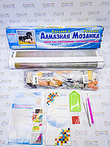 DMP-001 Набір діамантового живопису на підрамнику Холодний погляд, фото 3