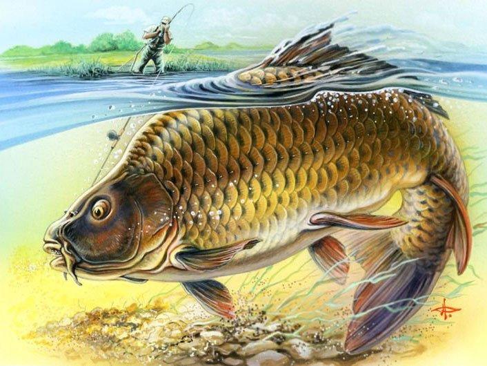 DMP-171 Набір діамантового живопису на підрамнику Трофейний короп