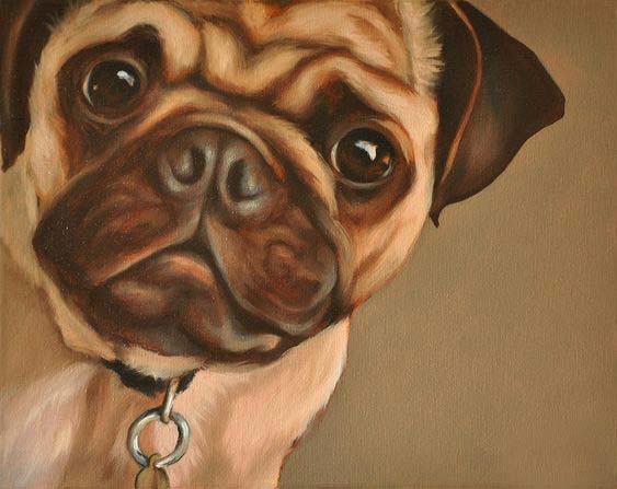 DM-196 Набір діамантового живопису Мопс, Ні