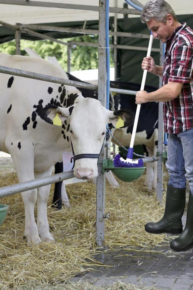 Щетка для мытья молочных цистерн