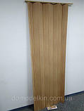 Гармошкою ширма бук 820х2030х0,6 мм 503 розсувні міжкімнатні пластикова глуха, фото 3