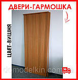 Двері гармошка - колір вишня. 100% Гарантія якості. Розмір 50,60,70,80, фото 7