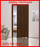 Двері гармошка під будь-які розміри, Більше 24 кольорів. Міжкімнатні двері гармошка. Дуб темний., фото 2