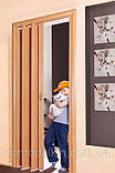 Двері гармошка під будь-які розміри, Більше 24 кольорів. Міжкімнатні двері гармошка. Дуб темний., фото 4