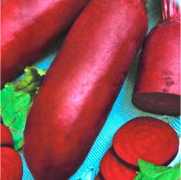 Насіння буряка Рівал, фото 1