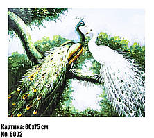 Картина за номерами "Павинди" розмір 60 х 75 см, код 6002
