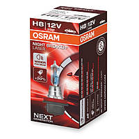 Галогенна лампа Osram Night Breaker Laser +150% H8 12 V 35 W 64212 NL (1 шт.)