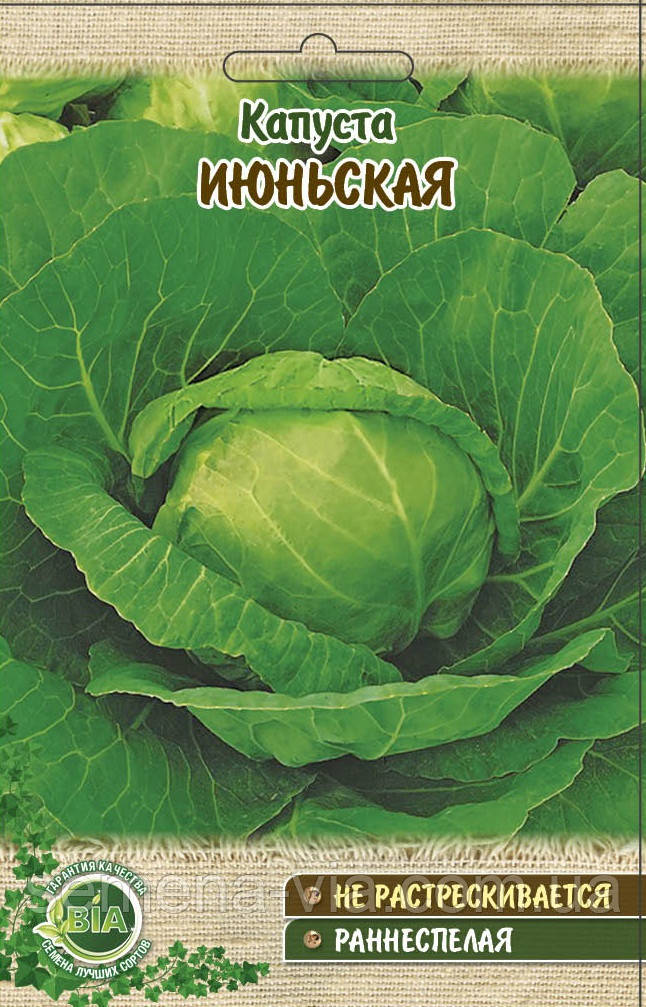 Капуста Jюньська (1 г) (в упаковці 20 пакетів)