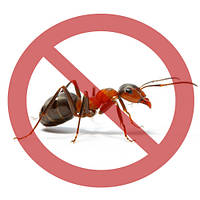 ПРАПАРАТ ВІД МУРАХ