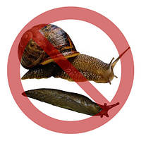 ПРЕПАРАТ ВІД СЛИМАКІВ (МОЛЮСКОЦИД)