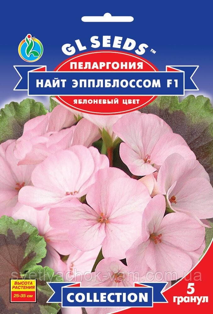Паларгонія F1 Найт Еплбллосом привабливе світло-рожеве забарвлення цвіте цілий рік, паковання 5 шт.