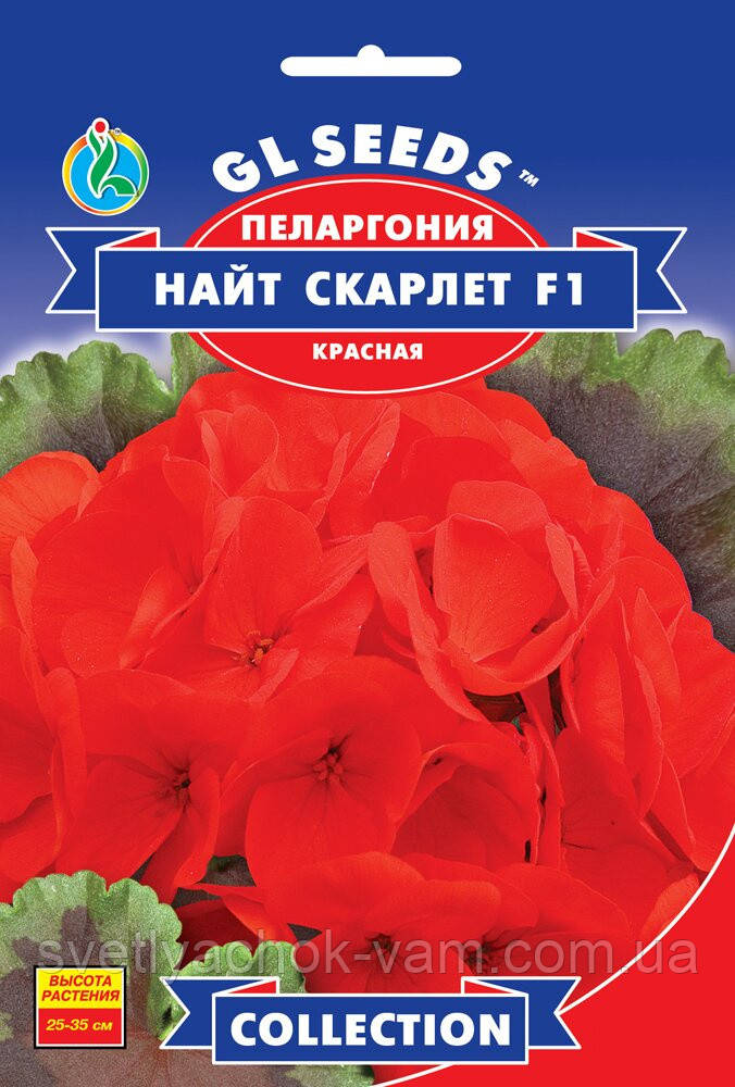 Пеларгонія F1 Найт Скарлет неперевершений сорт із коричневим оксамитовим листям, пакування 5 шт