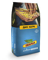 Насіння кукурудзи Монсанто ДКС 5276 ФАО 460 (Monsanto DKC 5276)