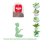 Чай "Зелений баланс", 17 пакетиків, YOGI TEA, фото 6