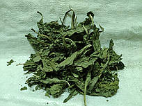 Подорожник, лист Бабка