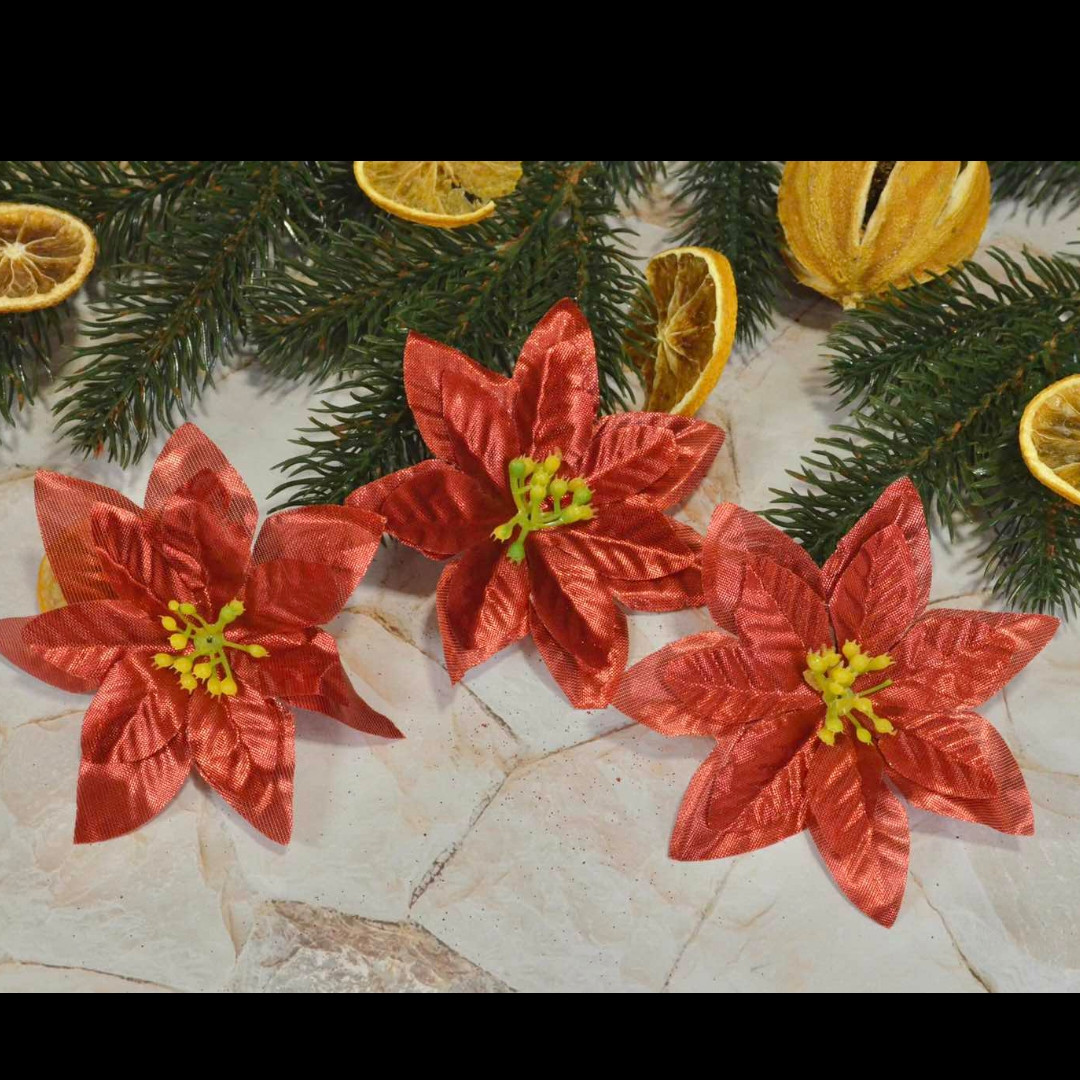 Різдвяна квітка Пуансетія червона. Діаметр 10 см