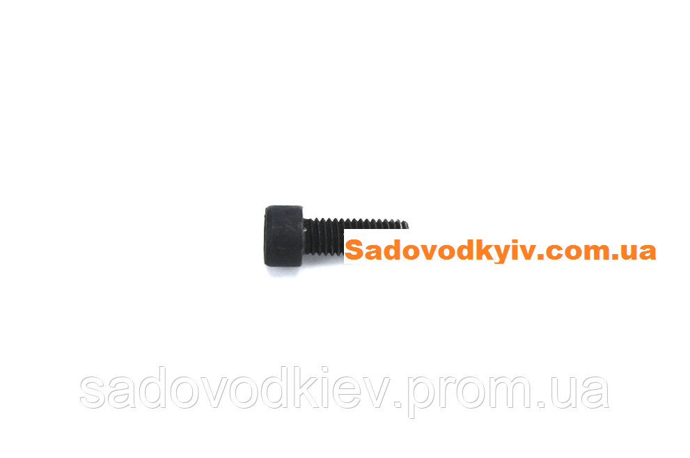 Болт стартера для мотокоси Zomax 4302, 5302, 430 (1120201)
