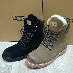 Чоботи Ugg Australia зима пісочний замш