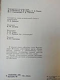 Коктебельські берега. Поезія, малюнки. акварелі, статті Максиміліан Волошин, фото 3