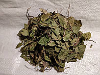 Грушанка круглолиста, трава Дикий ладан