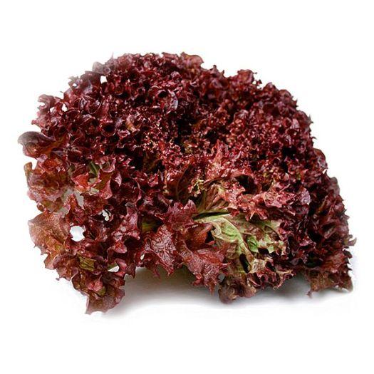 ТМ КОУЕЛ Салат Лолло Росса 500г