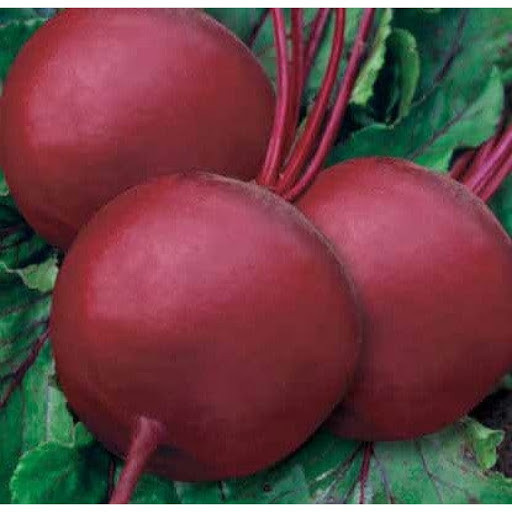 ТМ Коуел Буряк Кадет 500г