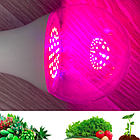 Оптимальна фітолампа 18Вт Е27 для рослин, повний спектр, фото 2