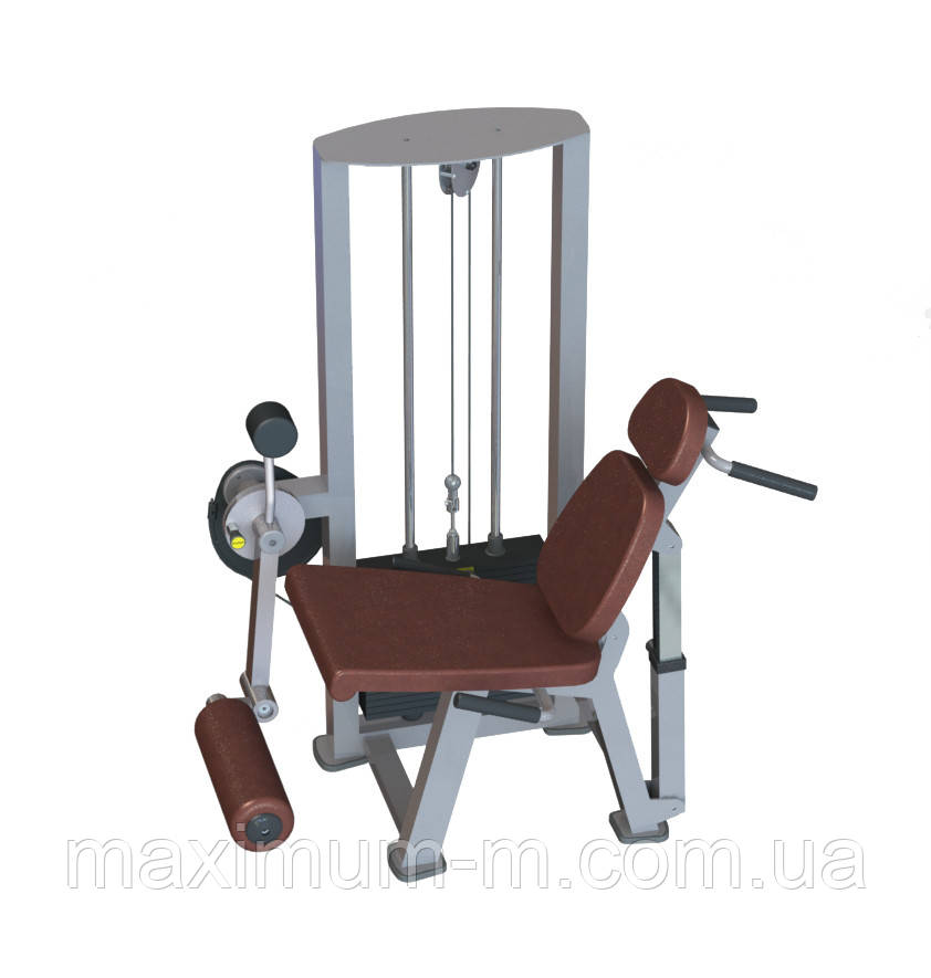 Згинач-розгинач стегна комбінований TC218